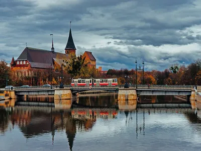 В Калининград в любой день. Цикличный тур на 7 дней | Большая Страна