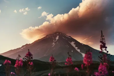Вулканы Камчатки — Википедия