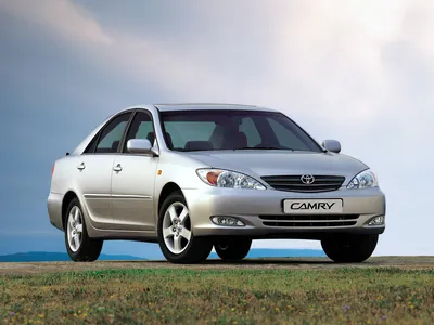 Camry | Vehicle Gallery | Toyota Brand | Mobility | Toyota Motor  Corporation Official Global Website