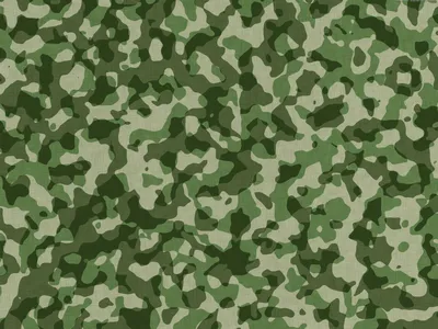 Army Texture\" Images – Browse 50 Stock Photos, Vectors, and Video | Adobe  Stock