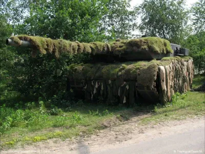 Ткань камуфлированная (зимний камуфляж) Клякса