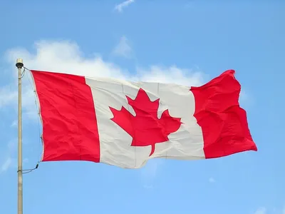 Канада приглашает в страну 1,5 млн иммигрантов – K-News