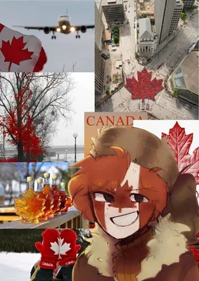 Канада заявила о закрытии границ с США после взрыва на мосту | Ямал-Медиа