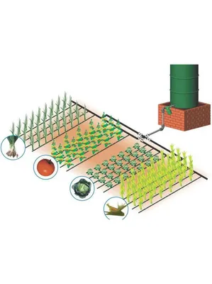Капельный полив растений в теплице и на огороде: автоматическая система  орошения