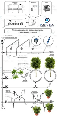 Капельный полив деревьев купить | Капельный полив деревьев и кустарников | капельный  полив деревьев своими руками