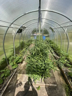 Капельный полив \"Жук\" от водопровода 60 растений в интернет-магазине Семь  Семян по низкой цене