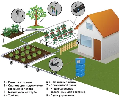 Как выбрать капельный полив и ленту для полива?