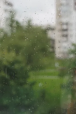 Капли дождя на стекле - Соловьев Николай