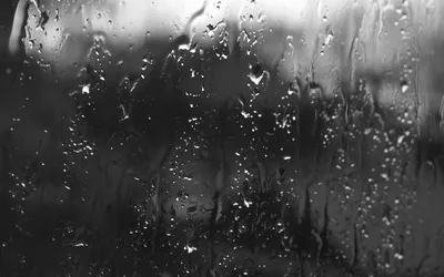 Скачать обои капли, чёрно-белое, дождь, стекло, капли дождя разрешение  1920x1200 #6552