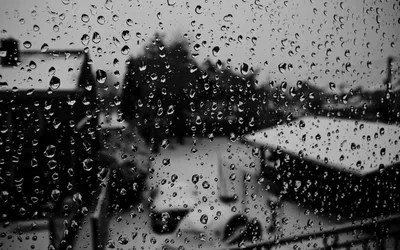Капли дождя темное облако зонтик растение мультяшном стиле фон Обои  Изображение для бесплатной загрузки - Pngtree