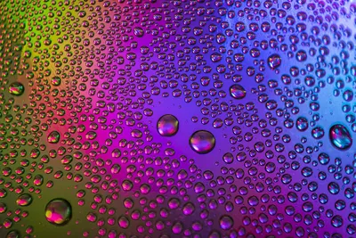 Вода Капли Дождя Обои На Стену - Бесплатное фото на Pixabay - Pixabay