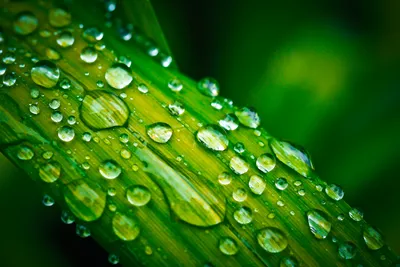Больше 10 000 бесплатных фотографий на тему «Капли Воды» и «»Дождь - Pixabay