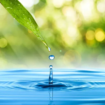 Капля воды в капли воды, капля …» — создано в Шедевруме