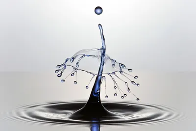 Капли воды на поверхности Stock Photo | Adobe Stock