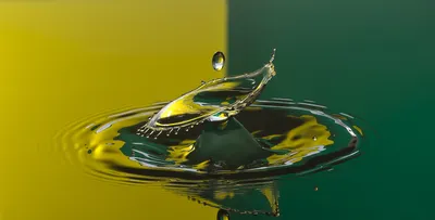 Капли воды под микроскопом с …» — создано в Шедевруме