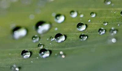 Капли воды под микроскопом с …» — создано в Шедевруме