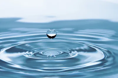 Капли Воды Капля Лист - Бесплатное изображение на Pixabay - Pixabay
