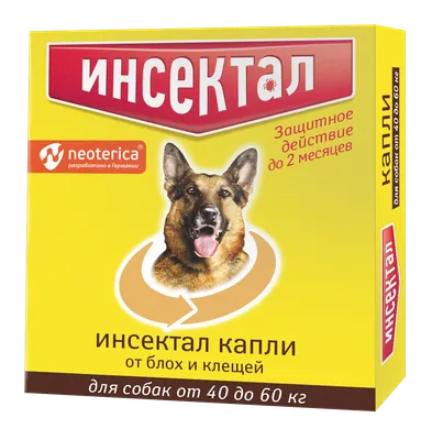 Капли глазные для кошек и собак АВЗ Ципровет антибактериальные,  противовоспалительные, купить в интернет-магазине Филя с быстрой доставкой  в Санкт-Петербурге