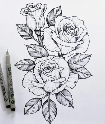 Картинки цветов карандашом для срисовки (30 рисунков)