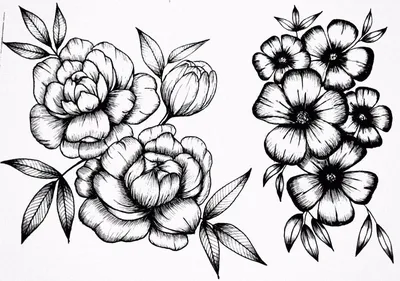 Весенние цветы рисунки карандашом - 61 фото