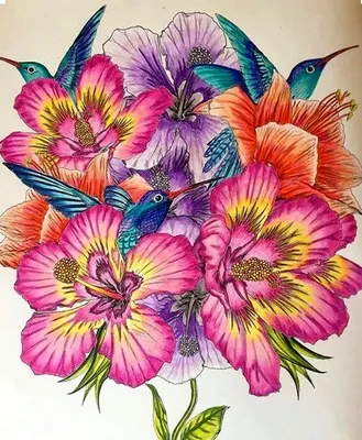 Рисунки цветов карандашом для срисовки (30 фото) 🔥 Прикольные картинки и  юмор