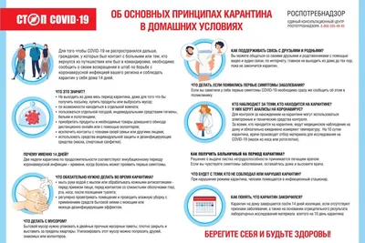 Итоги второго месяца карантина – Новости Узбекистана – Газета.uz