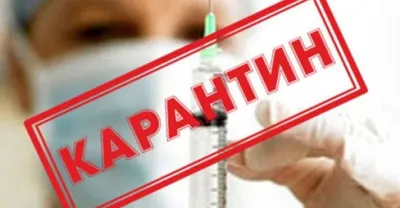 Восемь школ Астрахани закрыли на карантин из-за гриппа | Газета ВОЛГА