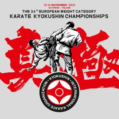 Ката в киокушинкай каратэ: история, виды и их применение
