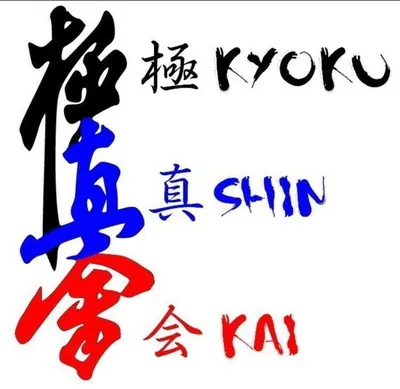 Записаться на секцию киокушинкай каратэ с – Kyokushinprofi.com