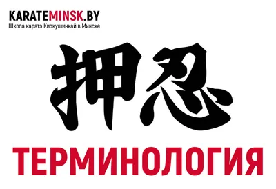 Киокушинкай-кан каратэ | Дирекция развития спорта по неолимпийским видам  акимата города Астана