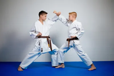 prokyokushin - @sumitani.dojo #prokyokushin #kyokushin #karate  #kyokushinkai #карате #киокушин #киокушинкай #fight #fighting #martialarts  #sport #sports #sportlife #martialartslife #karatedo | Facebook