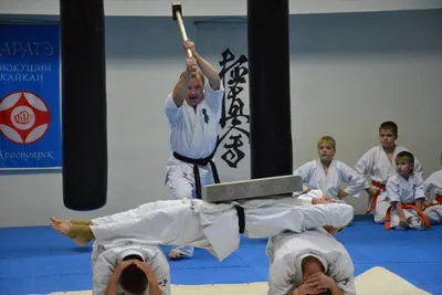 Школа Кёкусин Карате – Тренировки в школе карате киокушинкай в Москве