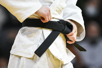 Сётокан каратэ-до (Shotokan)