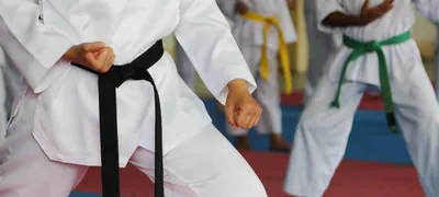 Кимоно для каратэ Стандарт | Leosport