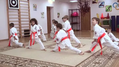 Каратэ для детей в Москве – школа каратэ в фитнес-клубе ДОН-Спорт