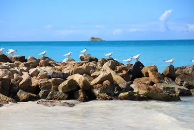 5 нетронутых красивых островов Карибского моря | GotoSailing