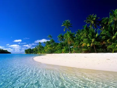 Карибские острова, красиво, реалистично…» — создано в Шедевруме