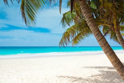 Пляжи Карибских Островов — стоковые фотографии и другие картинки Круизное  судно - Круизное судно, Круиз, Карибский бассейн - iStock