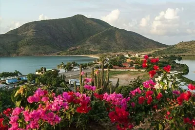 Рай на Земле: самые яркие места Карибских островов [Неделя Карибов на  MPort] - mport.ua