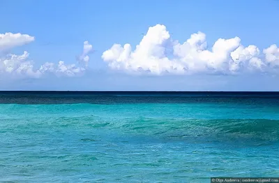 Топ-10 Карибских островов | Aviakassa.com | Дзен