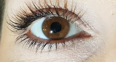 Карие глаза-самые красивые!!!! 2024 | ВКонтакте