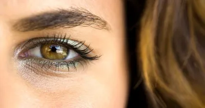 Характеристика людей с карими глазами | полезные статьи | Дзен