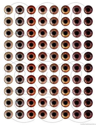 Лучшие фото (50 000+) по запросу «Карие Глаза» · Скачивайте совершенно  бесплатно · Стоковые фото Pexels