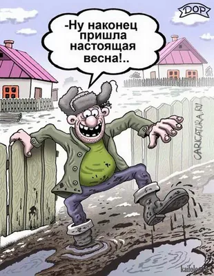 Карикатуры