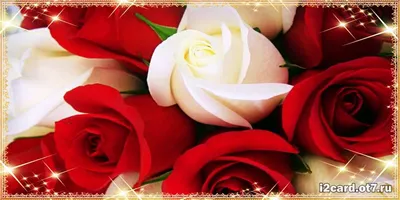 Карина! С днём рождения! Красивая открытка для Карины! Белые розы. Открытка  с блёстками. Букет роз имениннице.