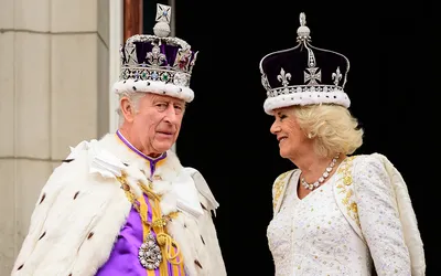 Мемы после коронации Карла III: в Сети обсуждают возраст короля и  целеустремленность Камиллы | РБК Life