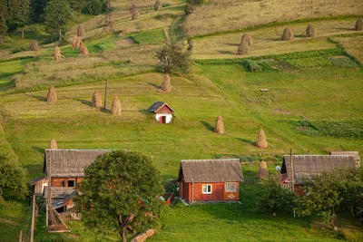 Когда лучше ехать в Карпаты - как отдохнуть в горах в Украине летом 2021  года | РБК-Україна