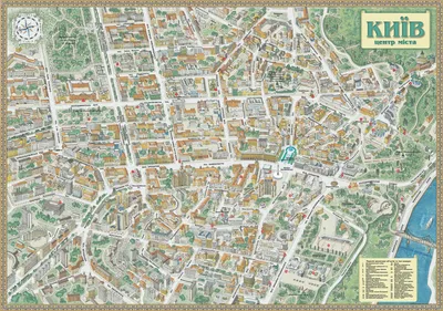 Появилась карта всех деревьев в центре Киева: ее разрабатывали четыре года  | Журнал Большого Города