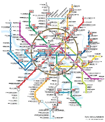 В Москве представили перспективную схему метро до 2030 года - РИА Новости,  13.12.2022
