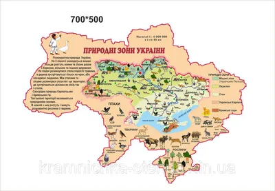 карти україни | україни | креслення карти україни #ukraine | ukraine map  drawing - YouTube